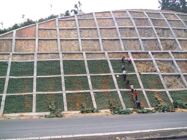 隨岳高速錨桿框架梁支護(hù),植生袋液壓噴播植草